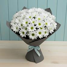 Букет цветов из:  Хризантемы #REPLACE_PRED# Ребрихе