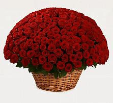 Премиум букет из: Розы в Ребрихе